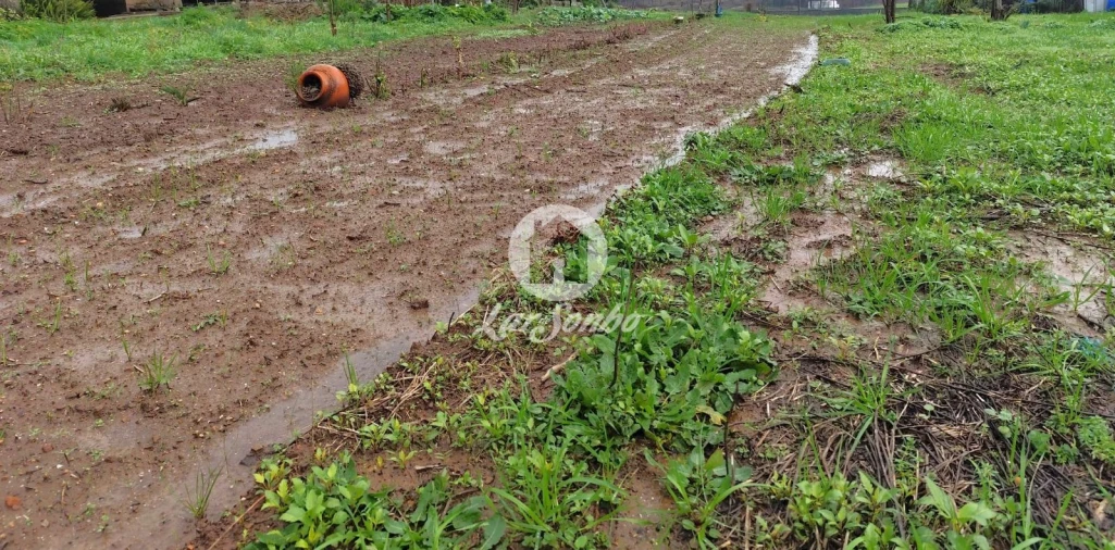 Terreno para Venda em Abade de Neiva Foto 10