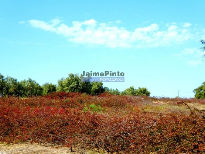 Terreno P/ Prédio para Venda em Ferragudo Foto 6