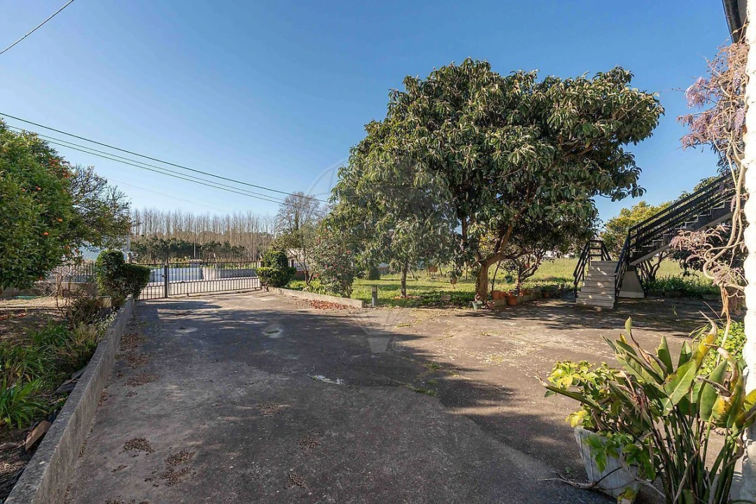 Moradia T4 para Venda em Ferreira-A-Nova Foto 4