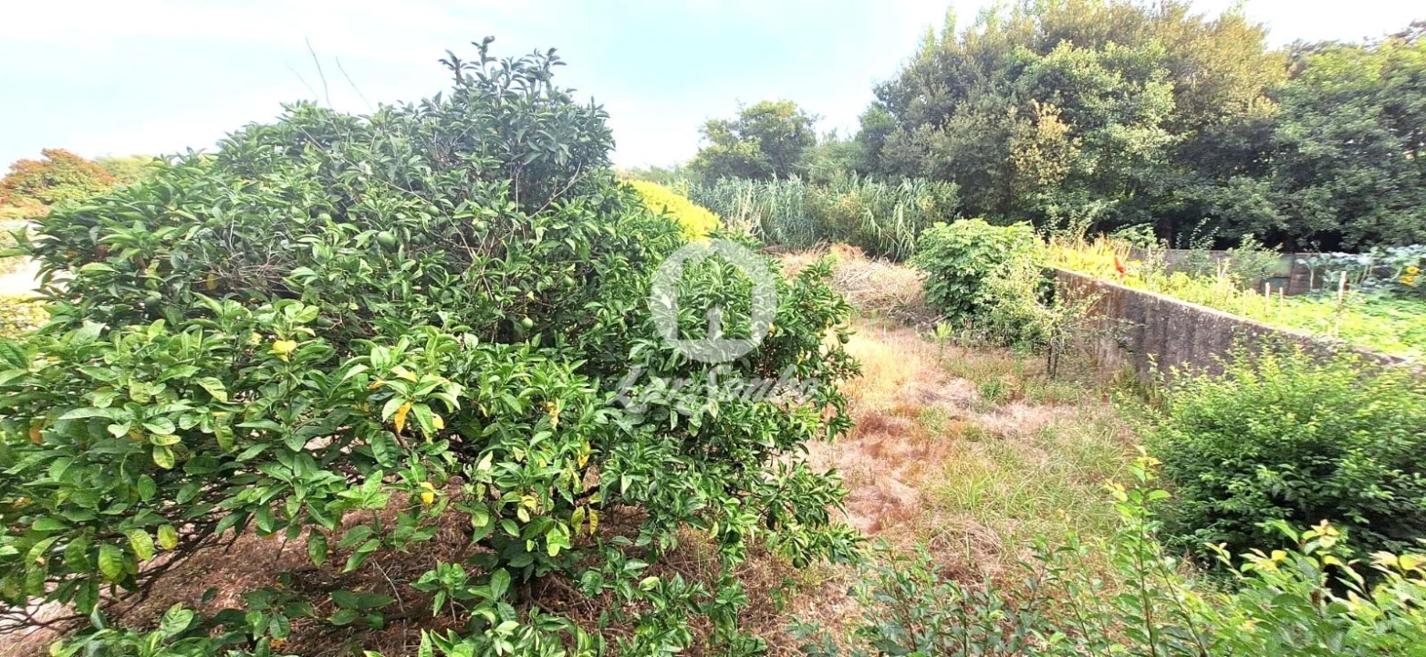 Moradia T7 para Venda em Apúlia e Fão Foto 22