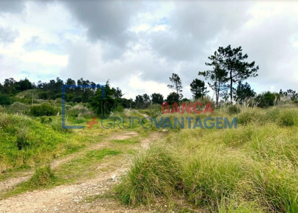 Terreno Misto para Venda em Queluz e Belas Foto 16
