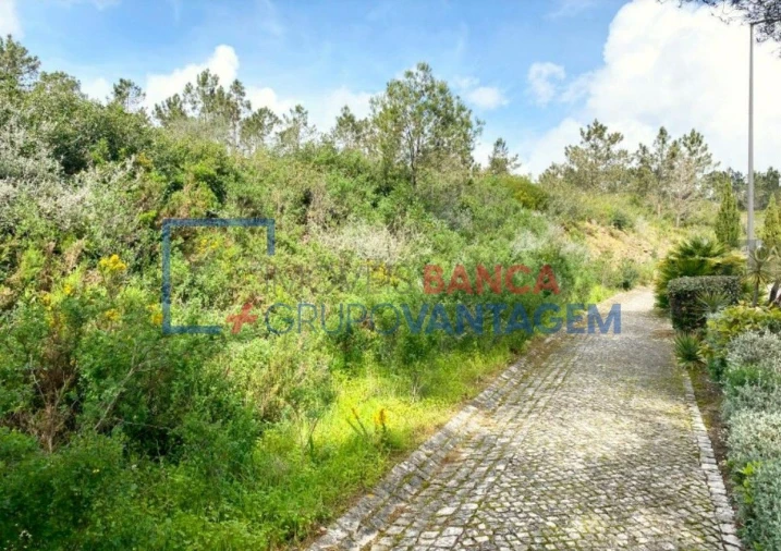 Terreno Misto para Venda em Queluz e Belas Foto 9