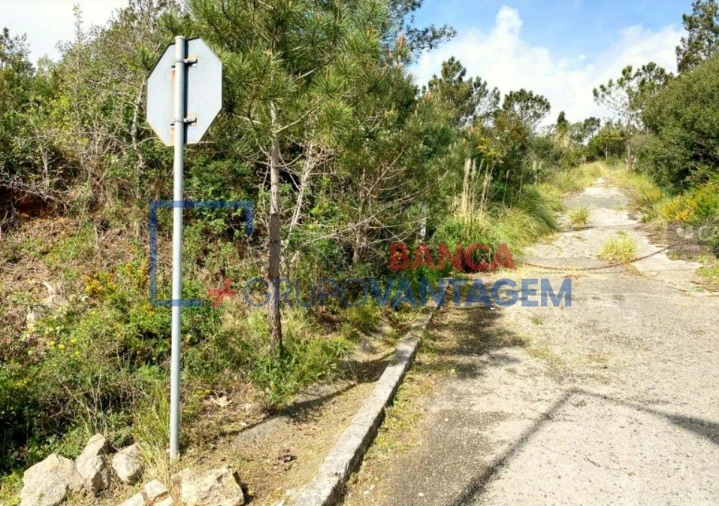 Terreno Misto para Venda em Queluz e Belas Foto 12