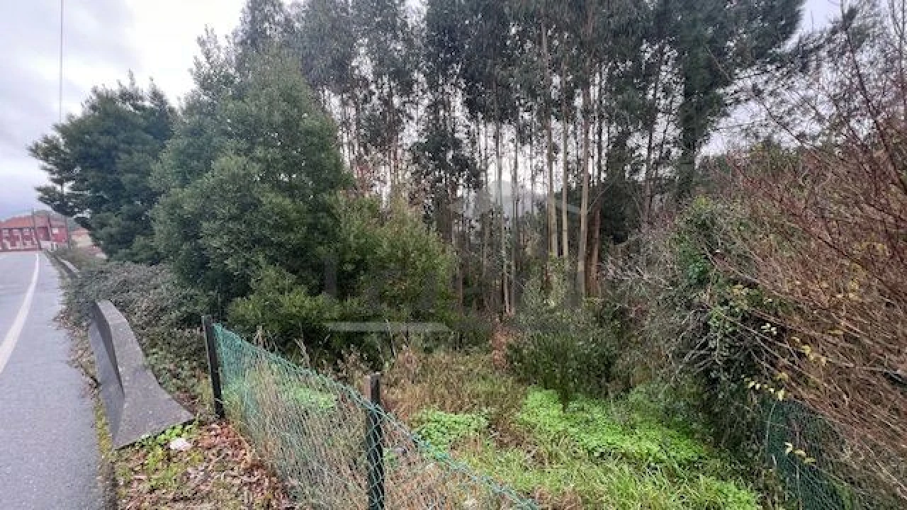 Terreno P/ Prédio para Venda em Canedo, Vale e Vila Maior Foto 4