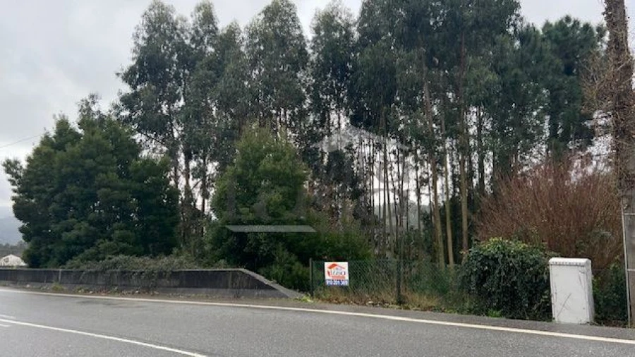 Terreno P/ Prédio para Venda em Canedo, Vale e Vila Maior Foto 1