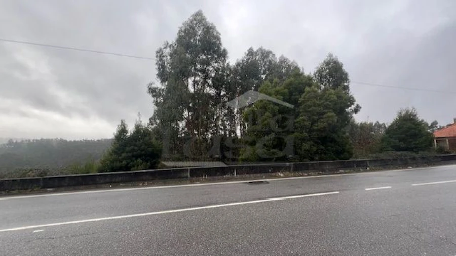 Terreno P/ Prédio para Venda em Canedo, Vale e Vila Maior Foto 2