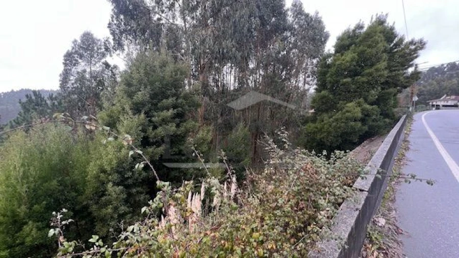 Terreno P/ Prédio para Venda em Canedo, Vale e Vila Maior Foto 6