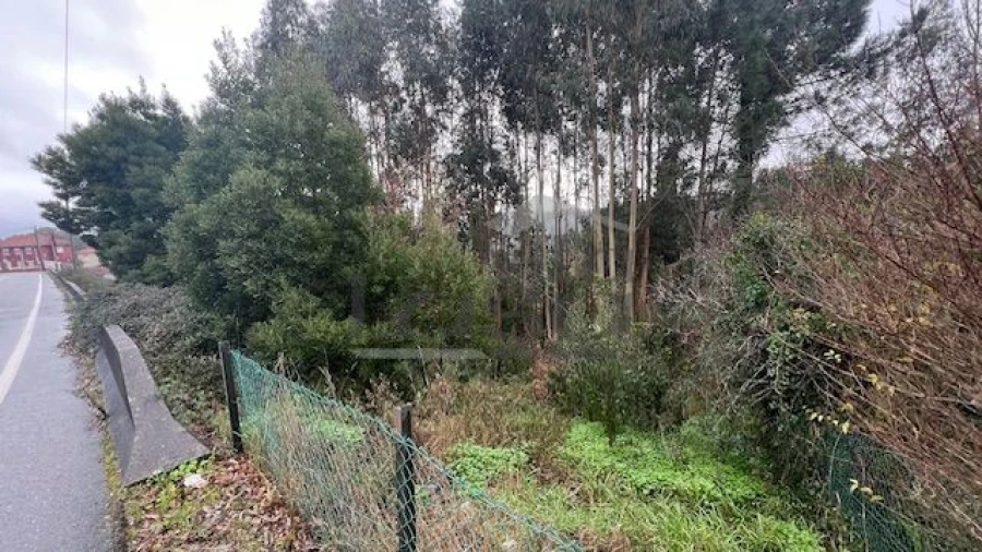 Terreno P/ Prédio para Venda em Canedo, Vale e Vila Maior Foto 8