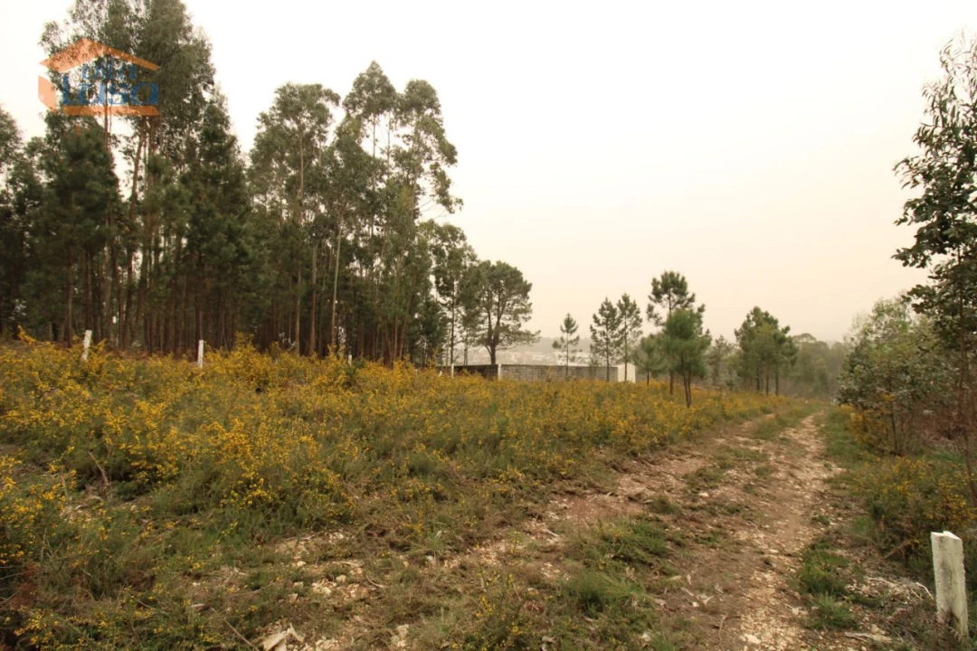 Terreno Misto para Venda em Sandim, Olival, Lever e Crestuma Foto 6