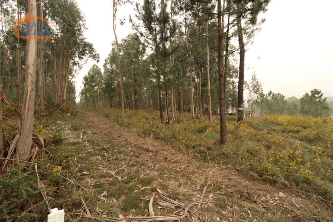 Terreno Misto para Venda em Sandim, Olival, Lever e Crestuma Foto 8