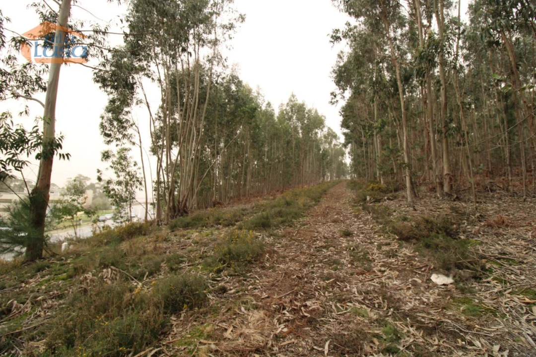 Terreno Misto para Venda em Sandim, Olival, Lever e Crestuma Foto 14