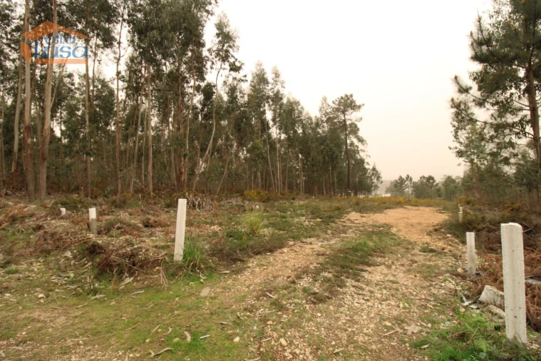 Terreno Misto para Venda em Sandim, Olival, Lever e Crestuma Foto 7
