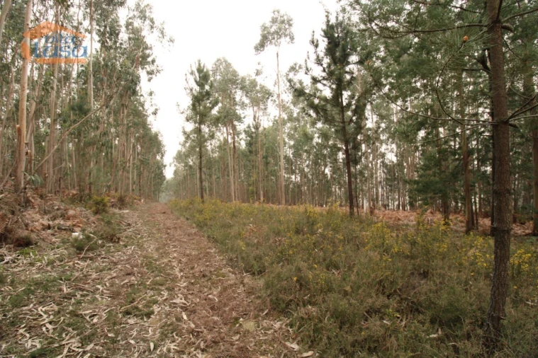 Terreno Misto para Venda em Sandim, Olival, Lever e Crestuma Foto 9