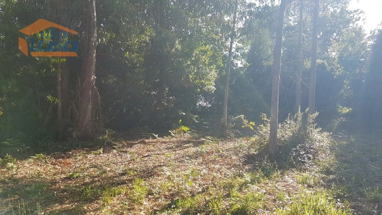 Armazém para Venda em Sandim, Olival, Lever e Crestuma Foto 22