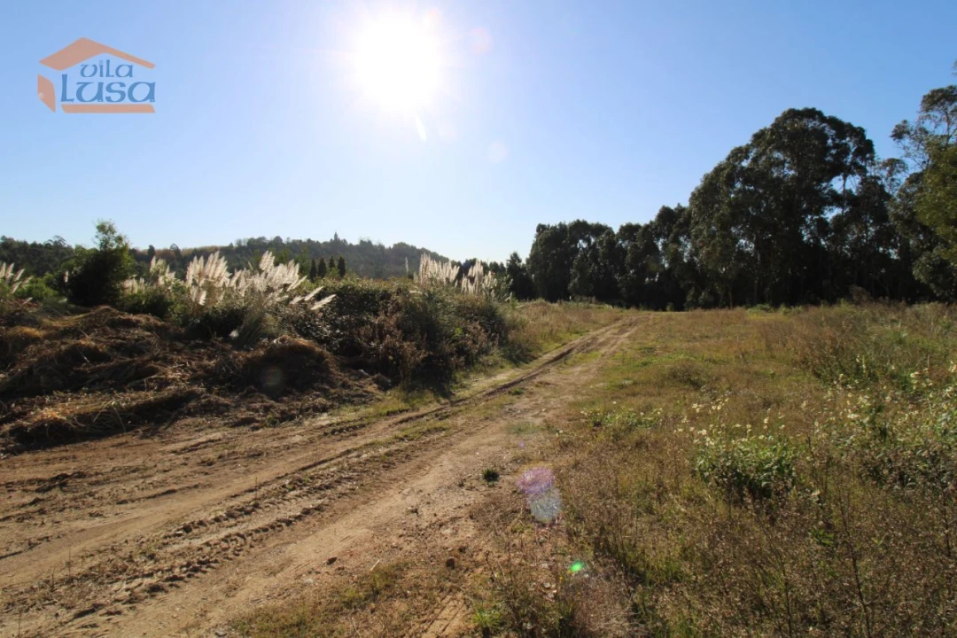 Terreno para Venda em Serzedo e Perosinho Foto 6
