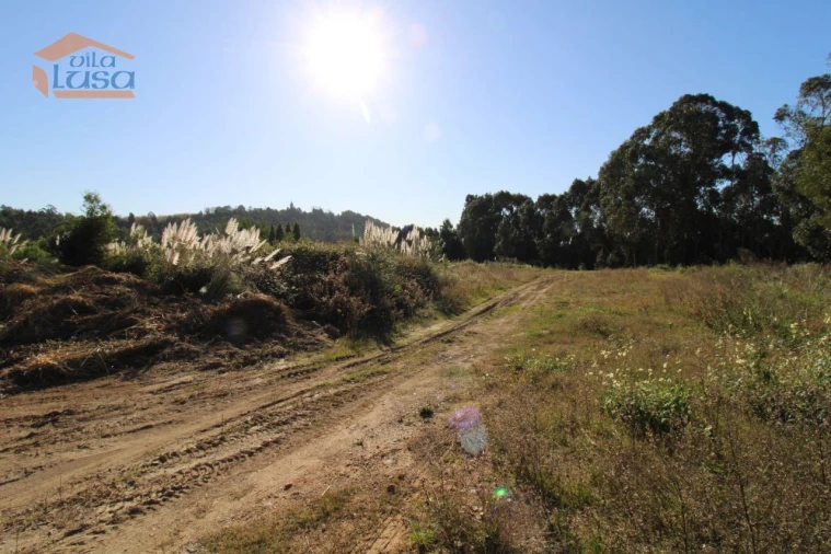 Terreno para Venda em Serzedo e Perosinho Foto 6