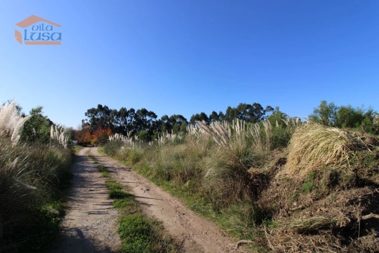 Terreno para Venda em Serzedo e Perosinho Foto 8