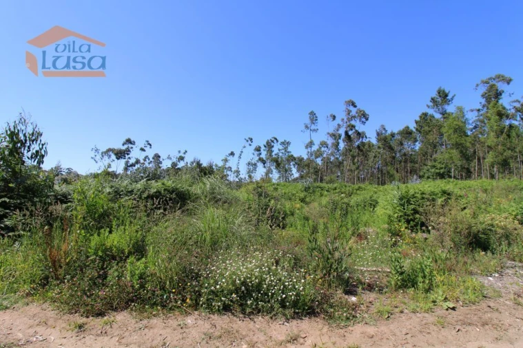 Terreno Agricola ou Rústico para Venda em Grijó e Sermonde Foto 3
