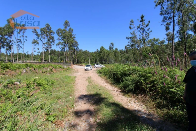 Terreno Agricola ou Rústico para Venda em Grijó e Sermonde Foto 7