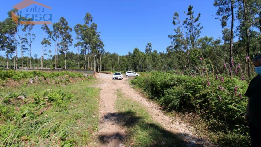 Terreno Agricola ou Rústico para Venda em Grijó e Sermonde