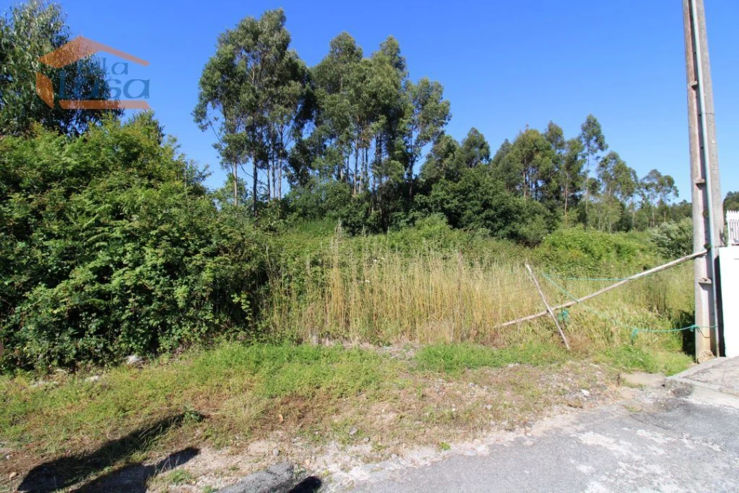 Terreno Agricola ou Rústico para Venda em Serzedo e Perosinho Foto 2