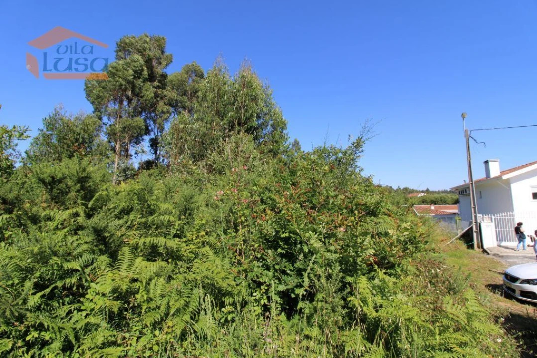 Terreno Agricola ou Rústico para Venda em Serzedo e Perosinho Foto 12