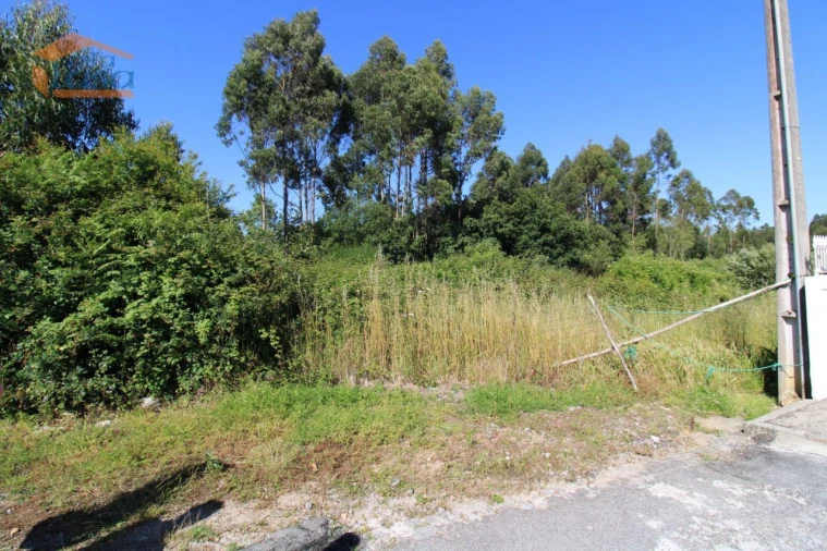 Terreno Agricola ou Rústico para Venda em Serzedo e Perosinho Foto 2