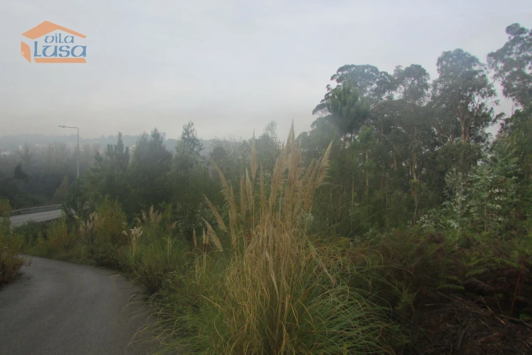 Terreno Agricola ou Rústico para Venda em Sandim, Olival, Lever e Crestuma Foto 5