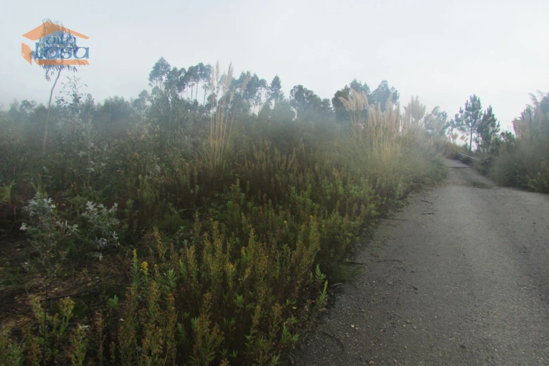 Terreno Agricola ou Rústico para Venda em Sandim, Olival, Lever e Crestuma Foto 2