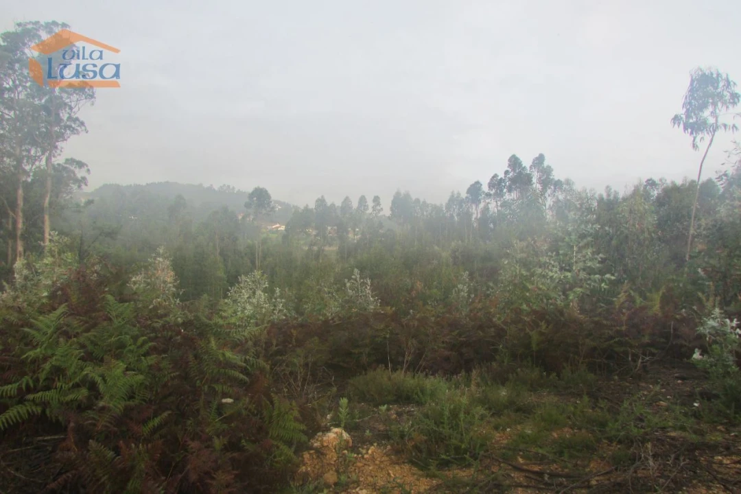 Terreno Agricola ou Rústico para Venda em Sandim, Olival, Lever e Crestuma Foto 7