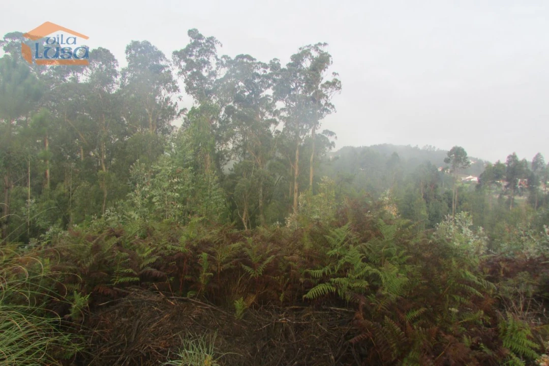 Terreno Agricola ou Rústico para Venda em Sandim, Olival, Lever e Crestuma Foto 1