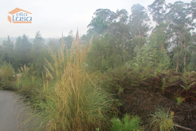 Terreno Agricola ou Rústico para Venda em Sandim, Olival, Lever e Crestuma Foto 4