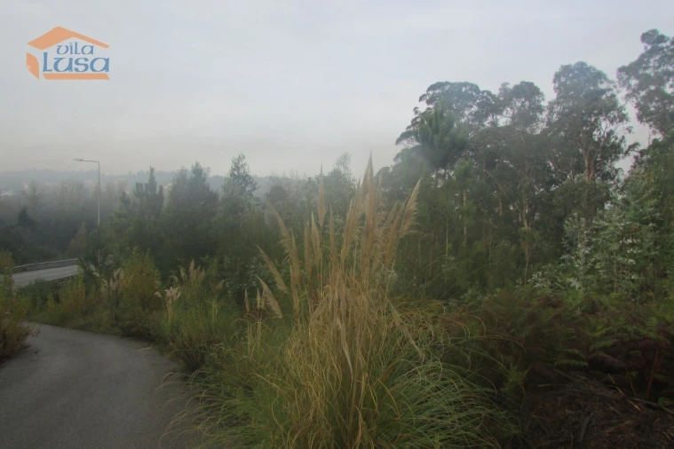 Terreno Agricola ou Rústico para Venda em Sandim, Olival, Lever e Crestuma Foto 5
