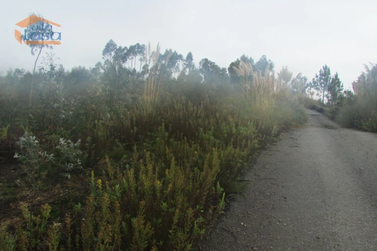 Terreno Agricola ou Rústico para Venda em Sandim, Olival, Lever e Crestuma Foto 2