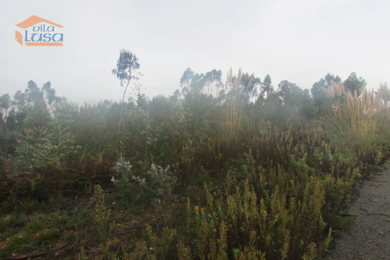 Terreno Agricola ou Rústico para Venda em Sandim, Olival, Lever e Crestuma Foto 6