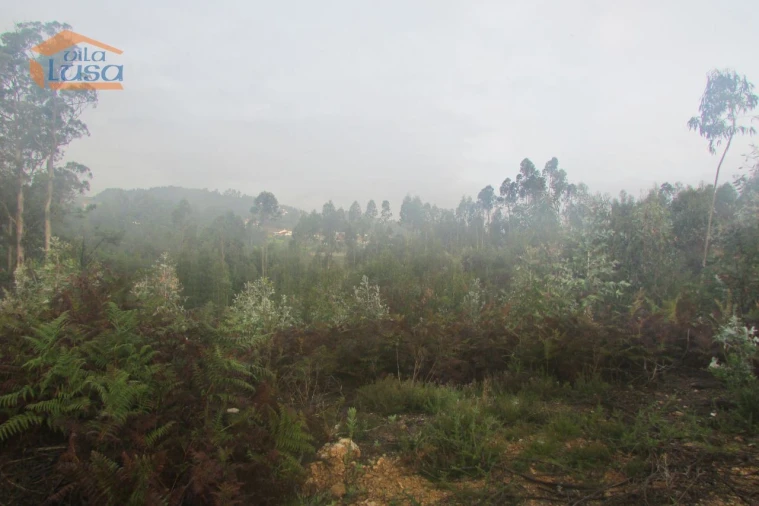 Terreno Agricola ou Rústico para Venda em Sandim, Olival, Lever e Crestuma Foto 7