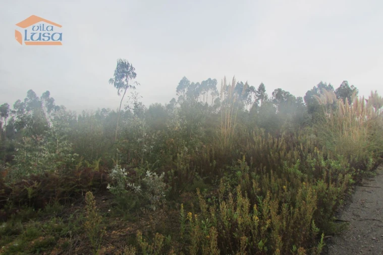 Terreno Agricola ou Rústico para Venda em Sandim, Olival, Lever e Crestuma Foto 3
