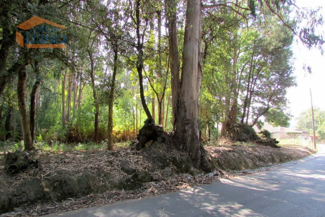 Terreno para Venda em Grijó e Sermonde Foto 7