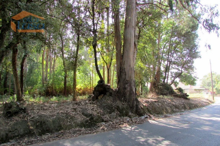 Terreno para Venda em Grijó e Sermonde Foto 7