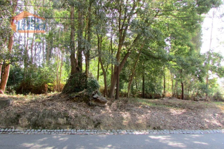 Terreno para Venda em Grijó e Sermonde Foto 8