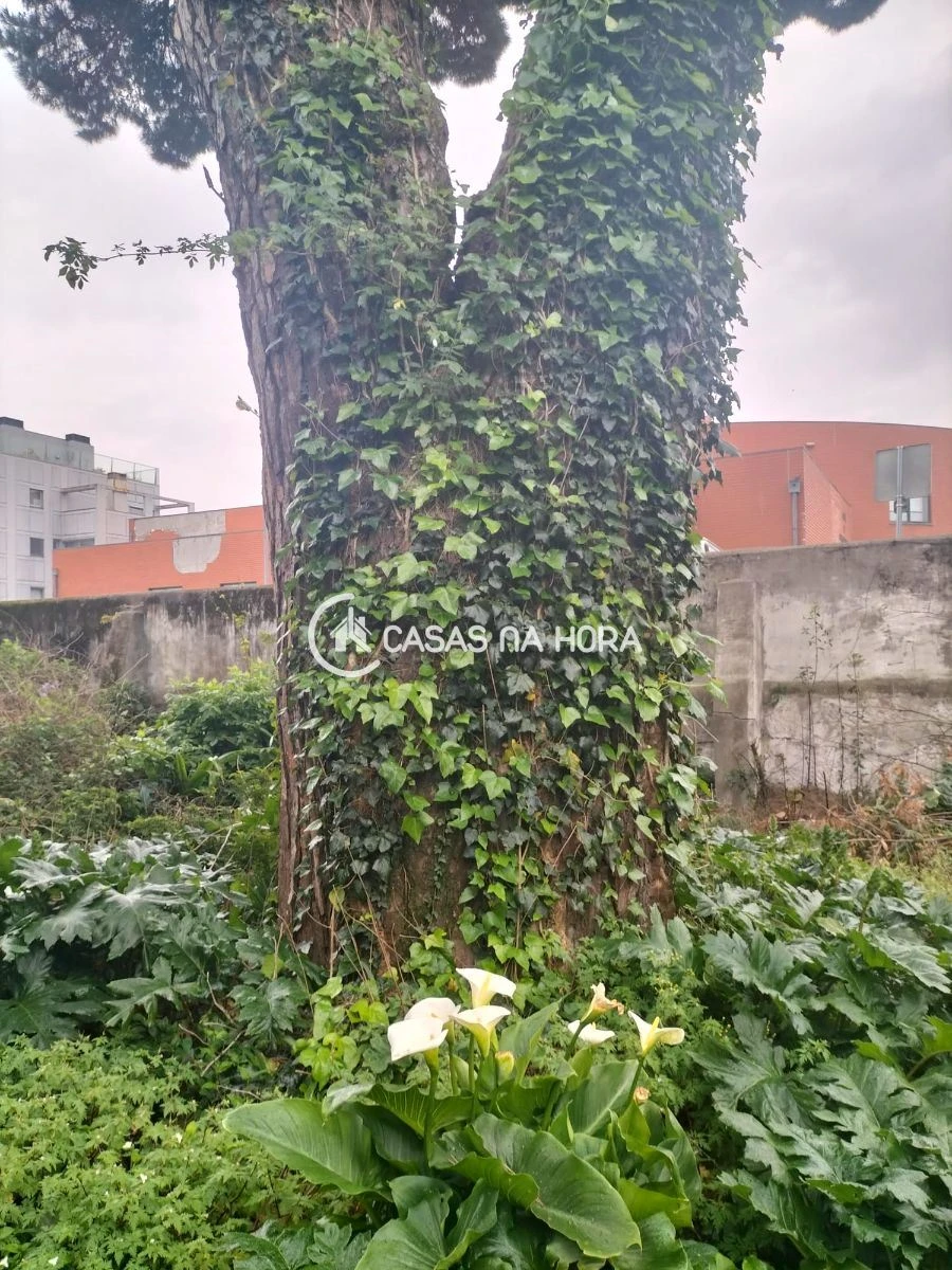 Terreno P/ Prédio para Venda em São Mamede de Infesta e Senhora da Hora Foto 10