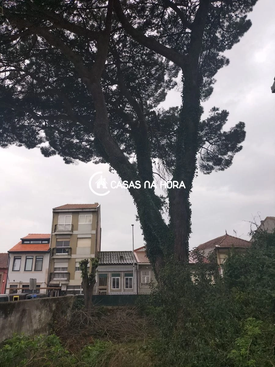 Moradia T3 para Venda em São Mamede de Infesta e Senhora da Hora Foto 1