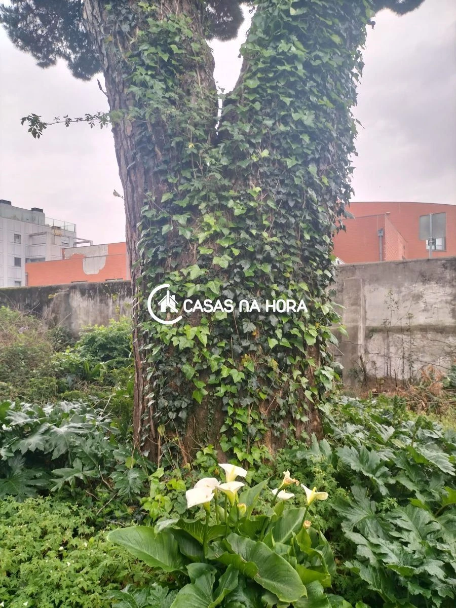 Moradia T3 para Venda em São Mamede de Infesta e Senhora da Hora Foto 10