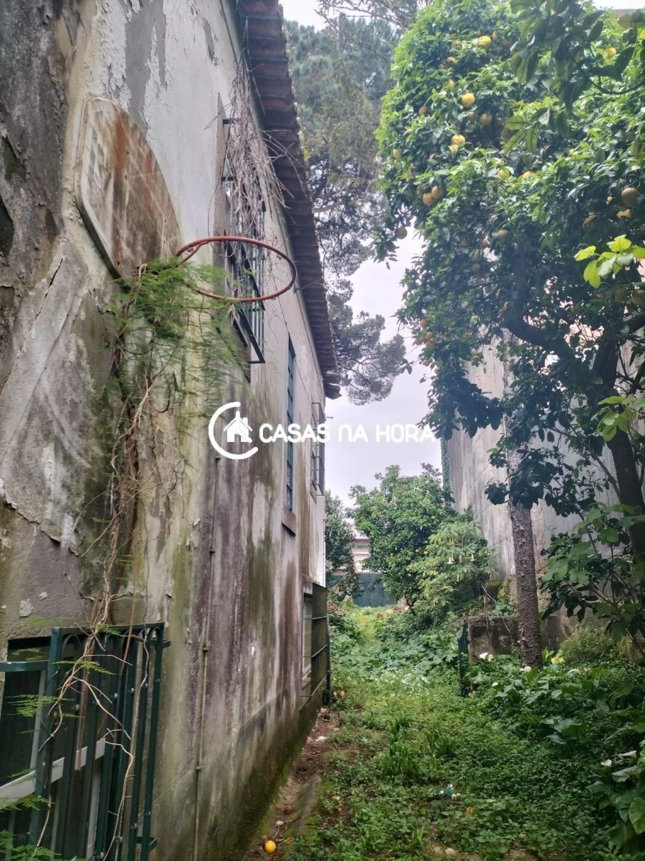 Terreno P/ Prédio para Venda em São Mamede de Infesta e Senhora da Hora Foto 5