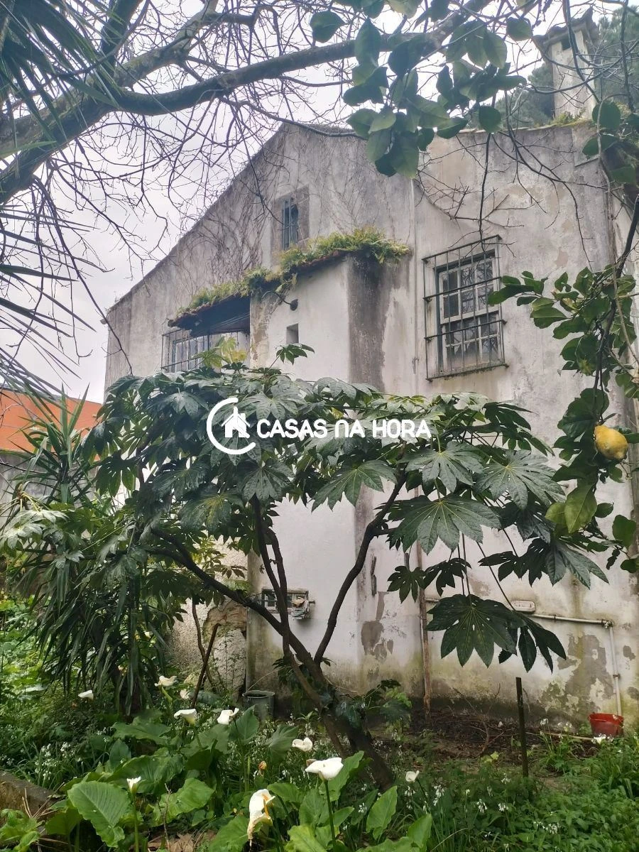 Terreno P/ Prédio para Venda em São Mamede de Infesta e Senhora da Hora Foto 3