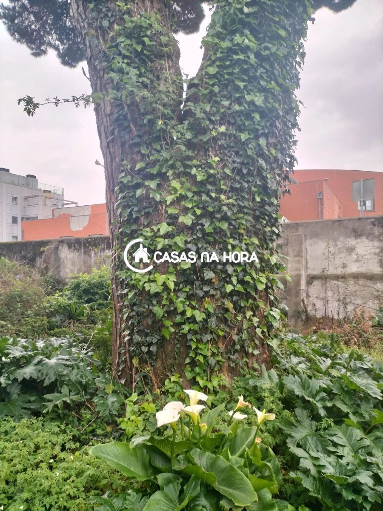 Moradia T3 para Venda em São Mamede de Infesta e Senhora da Hora Foto 10