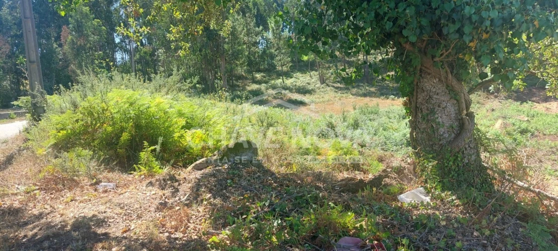 Terreno para Venda em Sandim, Olival, Lever e Crestuma Foto 5