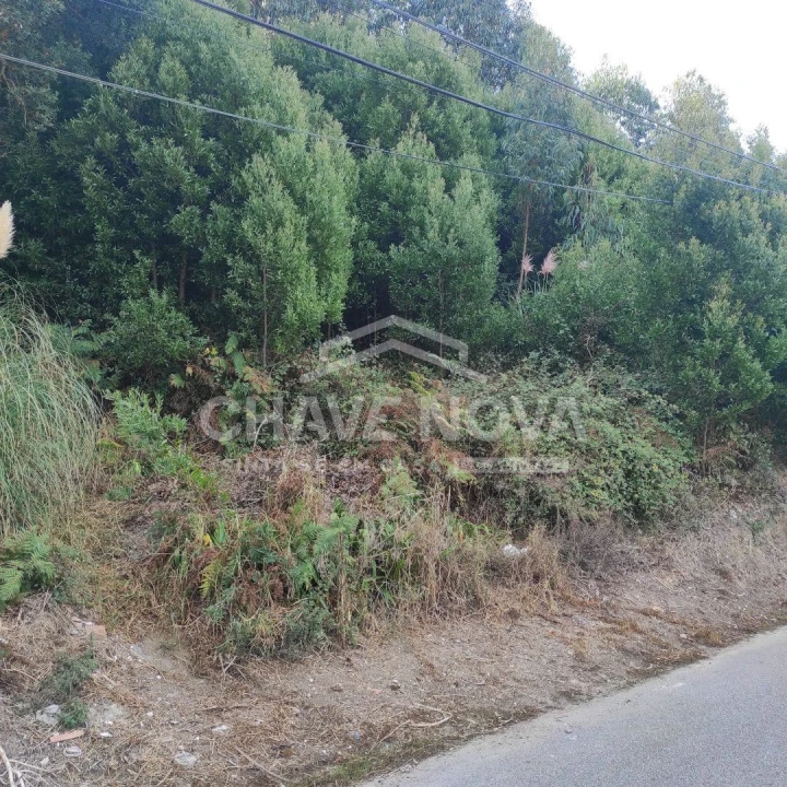 Terreno para Venda em Gulpilhares e Valadares Foto 2