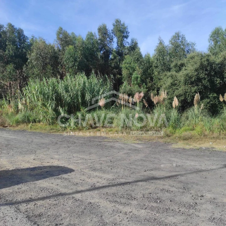 Terreno para Venda em Gulpilhares e Valadares Foto 5
