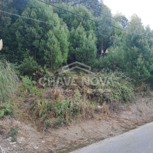Terreno para Venda em Gulpilhares e Valadares Foto 2